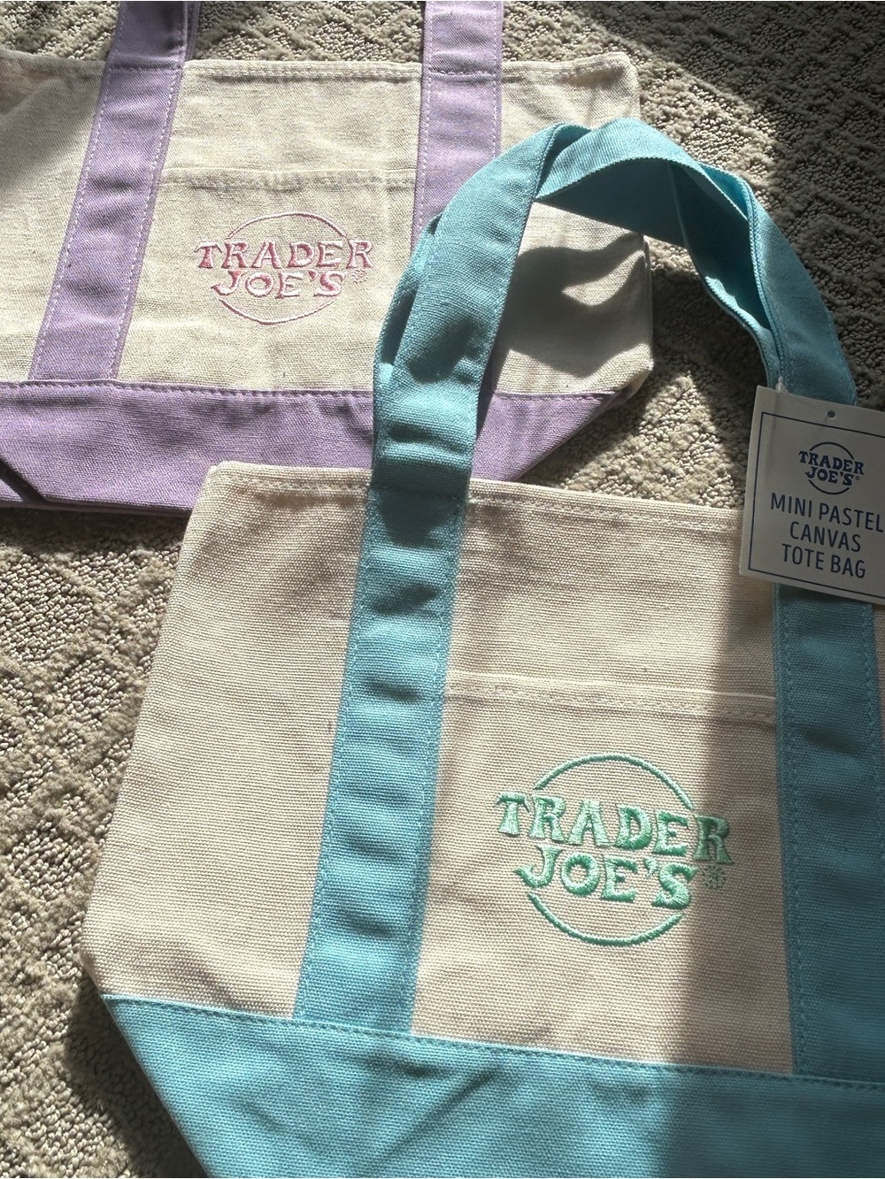 Trader Joe's Mini Canvas Tote Bag in Light Blue
